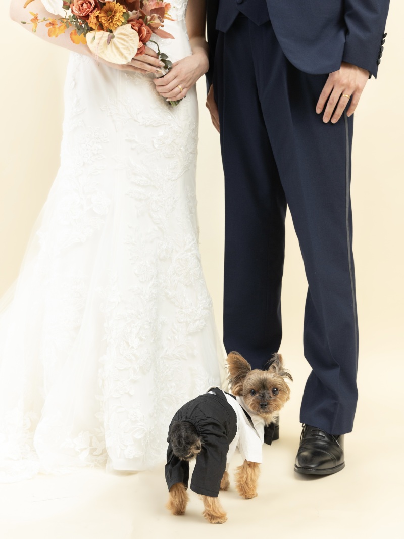 可愛らしいお尻も