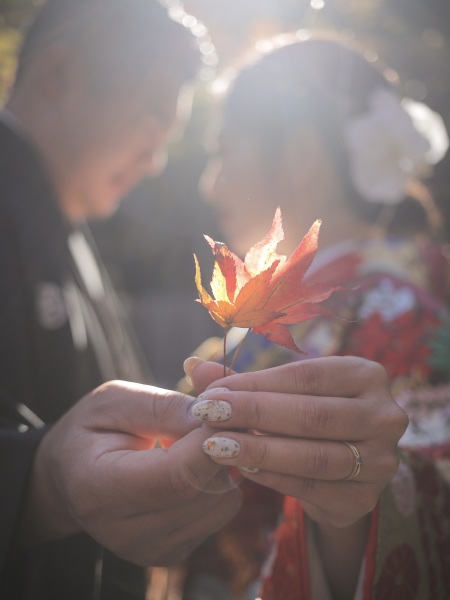 紅葉を使ったニュアンス写真1