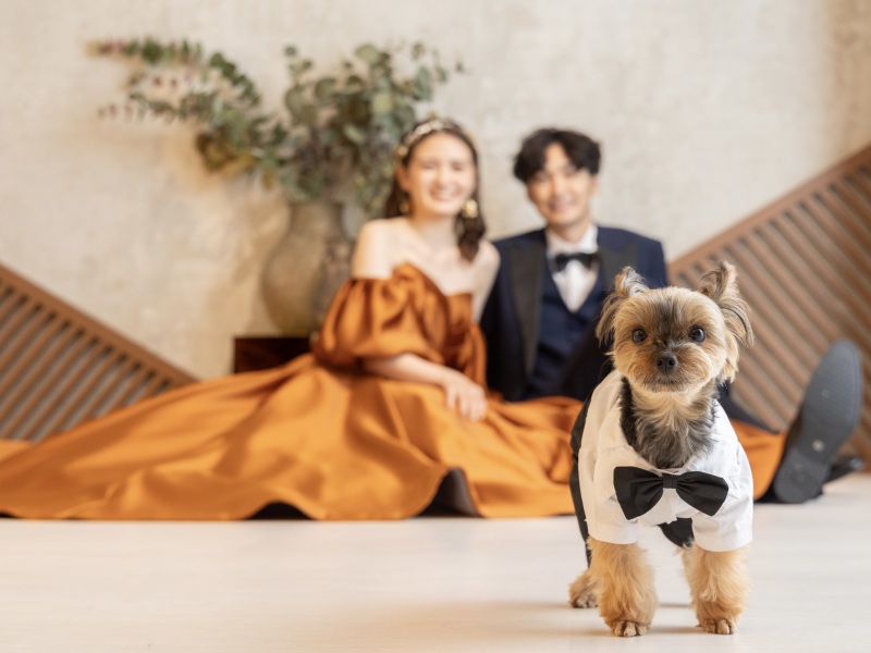 ワンちゃんにピントを合わせたショットも