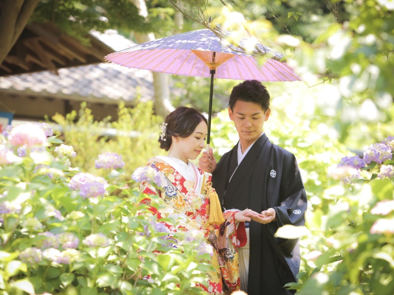 紫陽花と一緒に