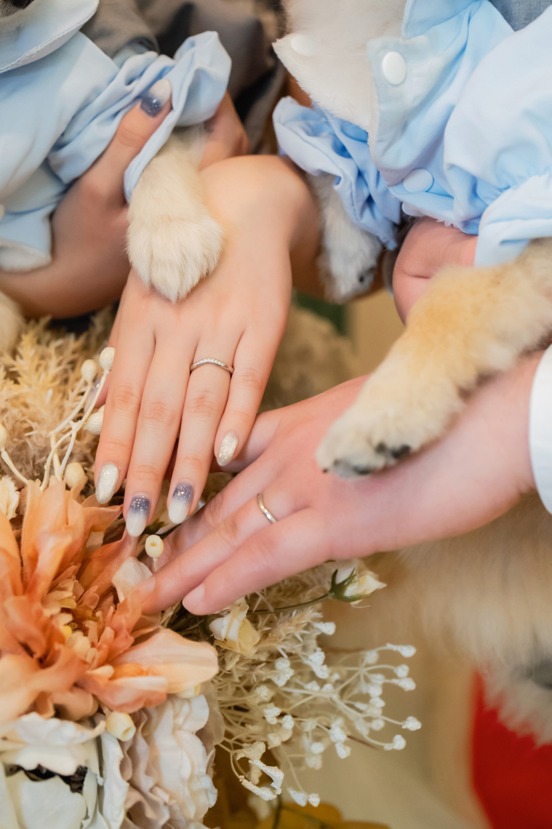 お手元ショットもワンちゃんと一緒に