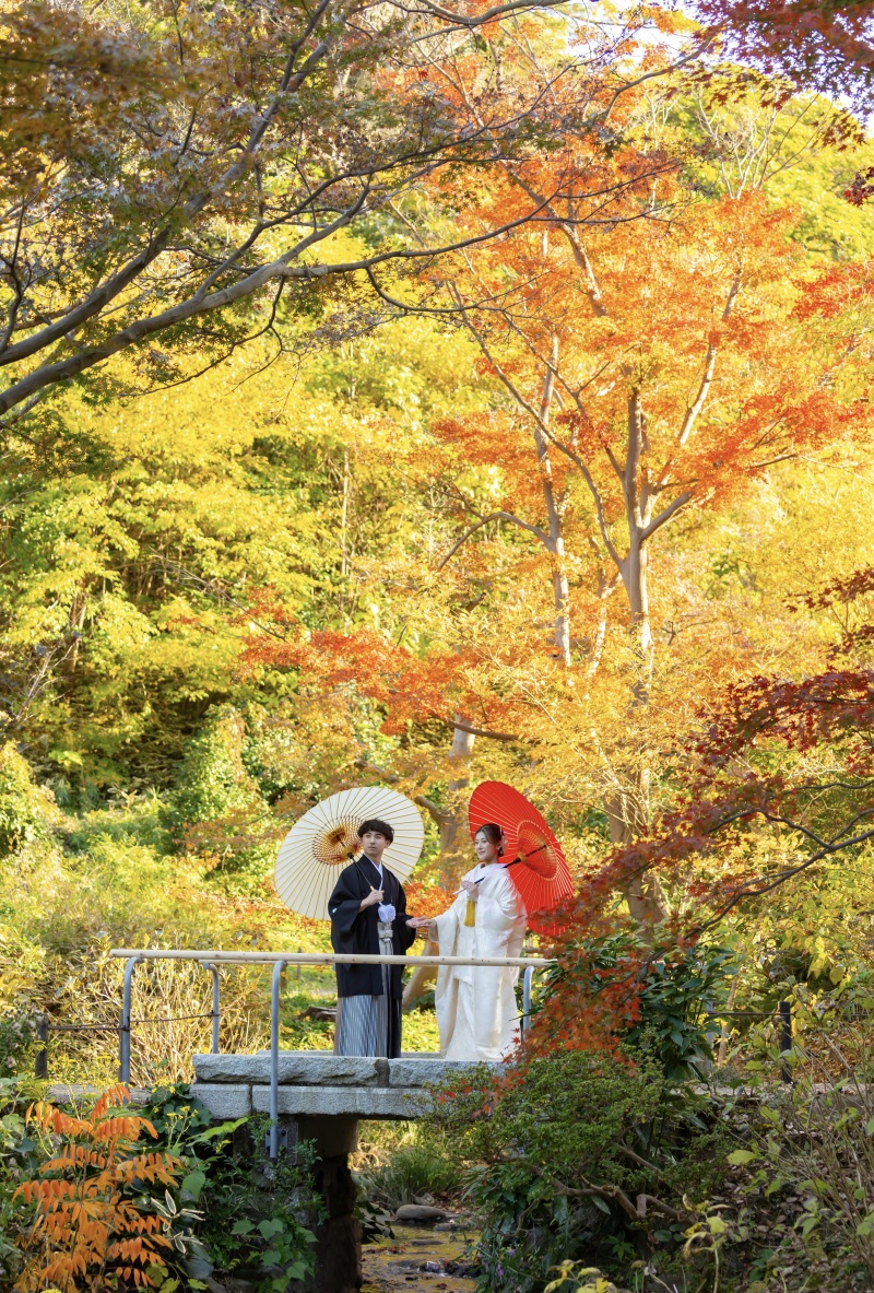 三渓園✿紅葉ロケーション撮影