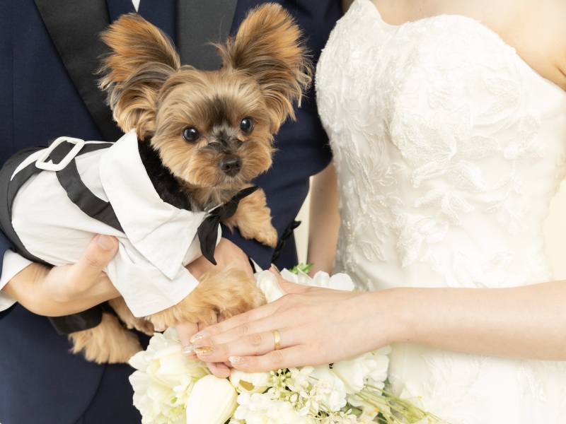 お顔の映らないニュアンスショットも忘れずに