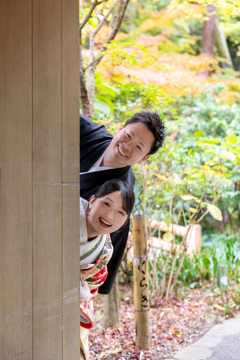 門からお顔をひょっこり