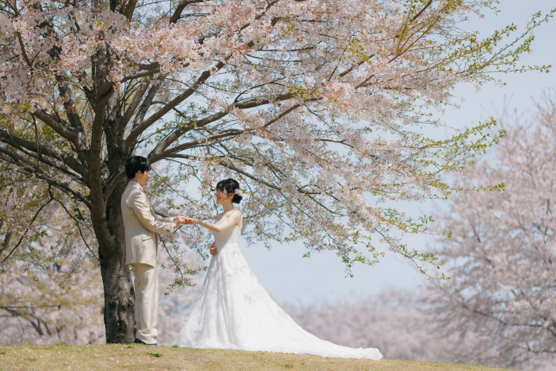 ◆満開の桜の下でロケーション撮影◆