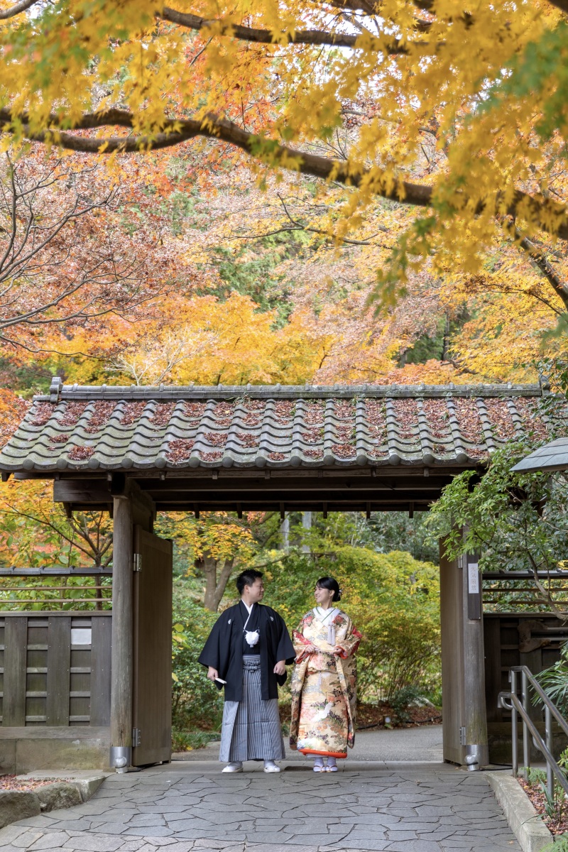 紅葉で華やかに