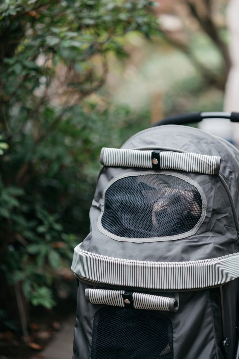 出番待ちをしている可愛いショット♡