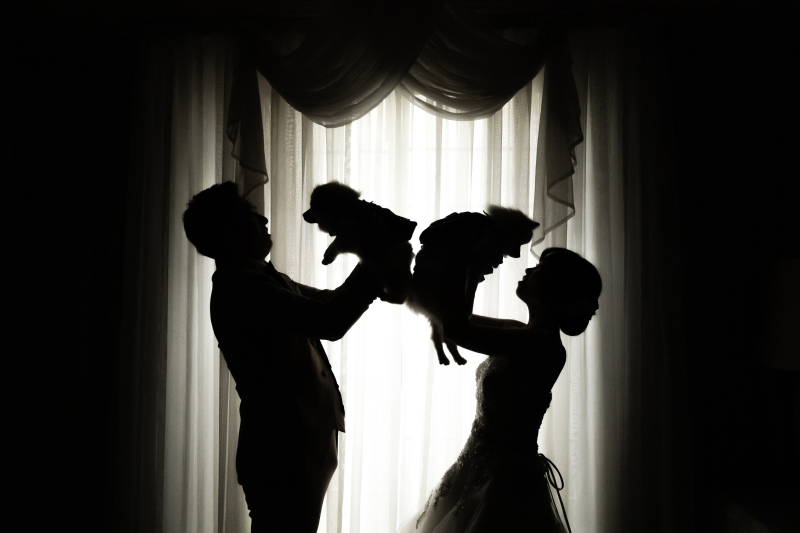 雰囲気のあるシルエットショット