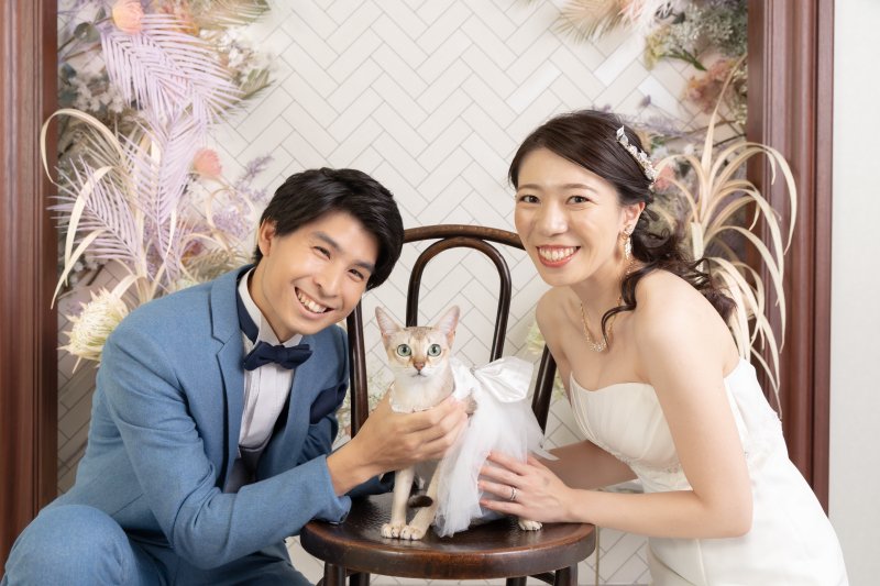 椅子の上にちょこんと♪