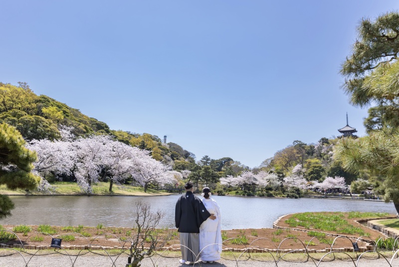 三溪園ならではの景色で