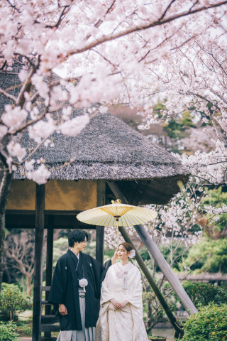 桜の時期におすすめの三渓園！