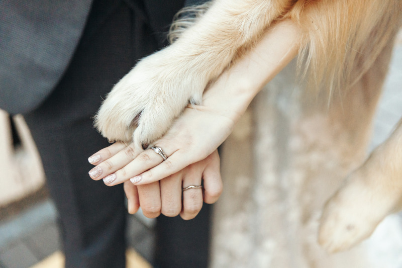 一緒に手元のカットも