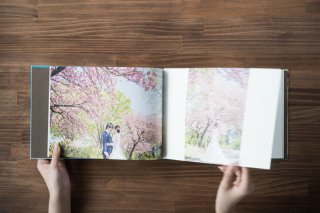 The Diary(40ページ)