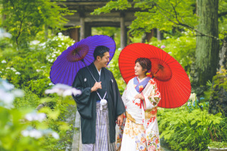 和番傘・赤毛氈のレンタル