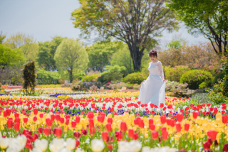eneen wedding GUNMA_【花畑】季節の花々に囲まれて色鮮やかなフォト