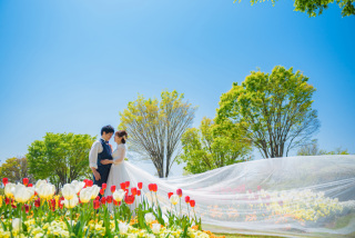 eneen wedding GUNMA_【花畑】季節の花々に囲まれて色鮮やかなフォト