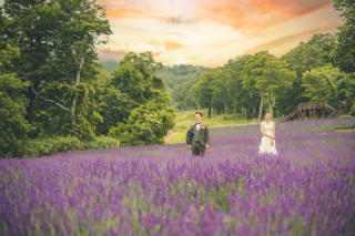eneen wedding GUNMA_【花畑】季節の花々に囲まれて色鮮やかなフォト