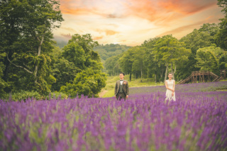 eneen wedding GUNMA_【花畑】季節の花々に囲まれて色鮮やかなフォト
