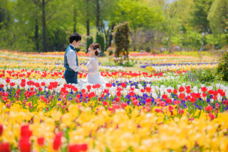 eneen wedding GUNMA_【花畑】季節の花々に囲まれて色鮮やかなフォト