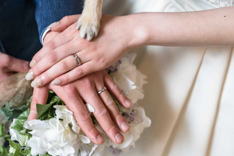 Tree House Kurume_ペットと一緒に撮影できる