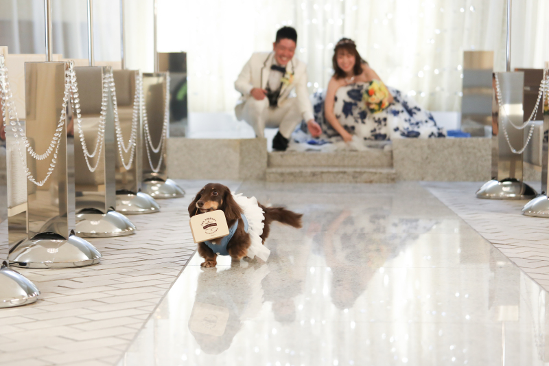 大切なペットも一緒に撮影可能！