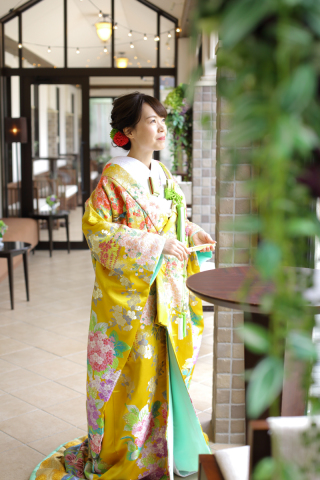 63-289　辛子色桜花紋