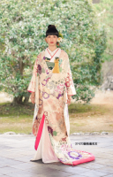 27-373　裂取菊花紋