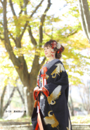 39-334　黒地深山に鶴