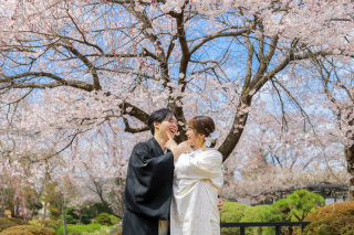 満開の桜に包まれて♡高島城で叶える和装ロケーションフォト