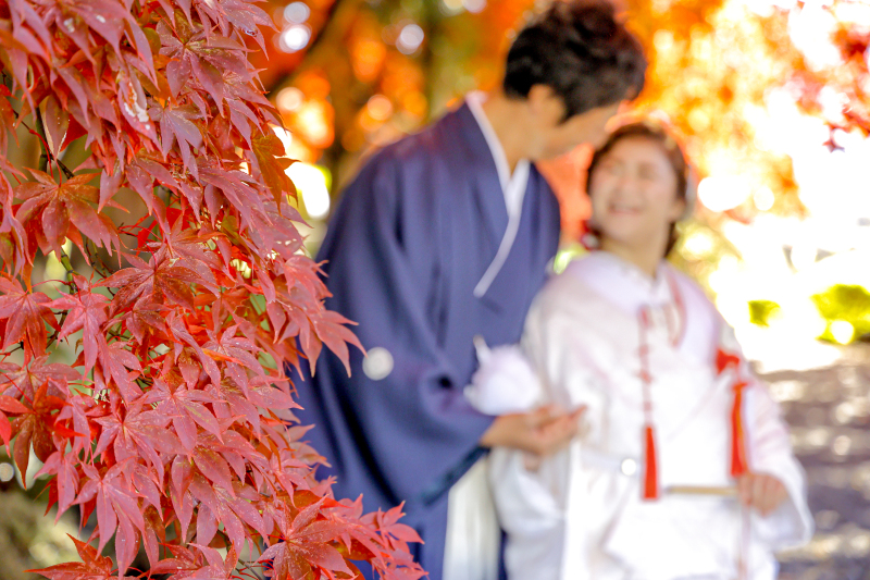 ピントを紅葉に