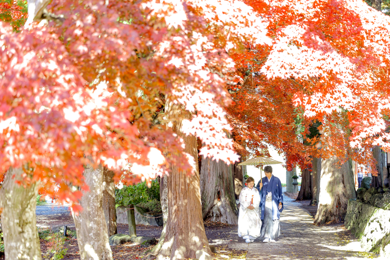 紅葉の木の下で