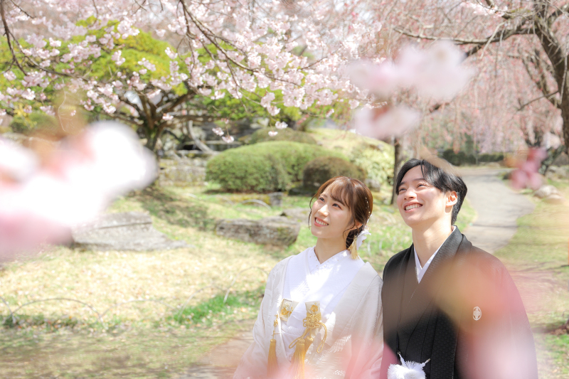 桜の下で寄り添って