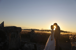 ススキが広がる牧歌的な風景