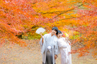 秋の美しい紅葉の中で。