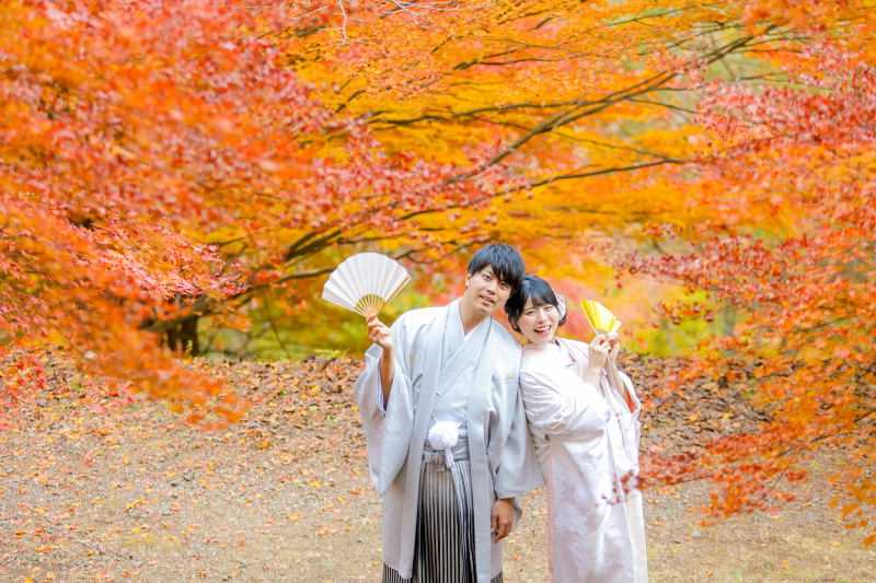 秋の美しい紅葉の中で。