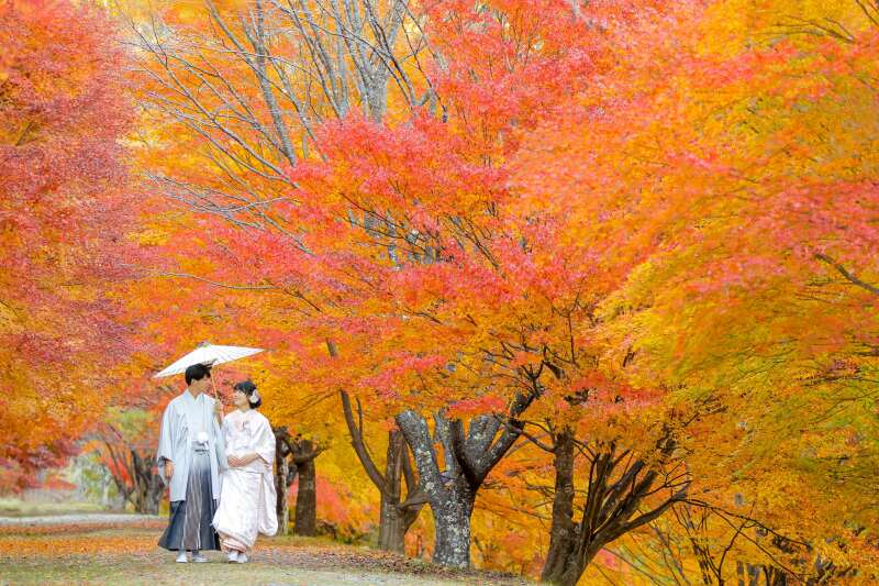 紅葉に囲まれて