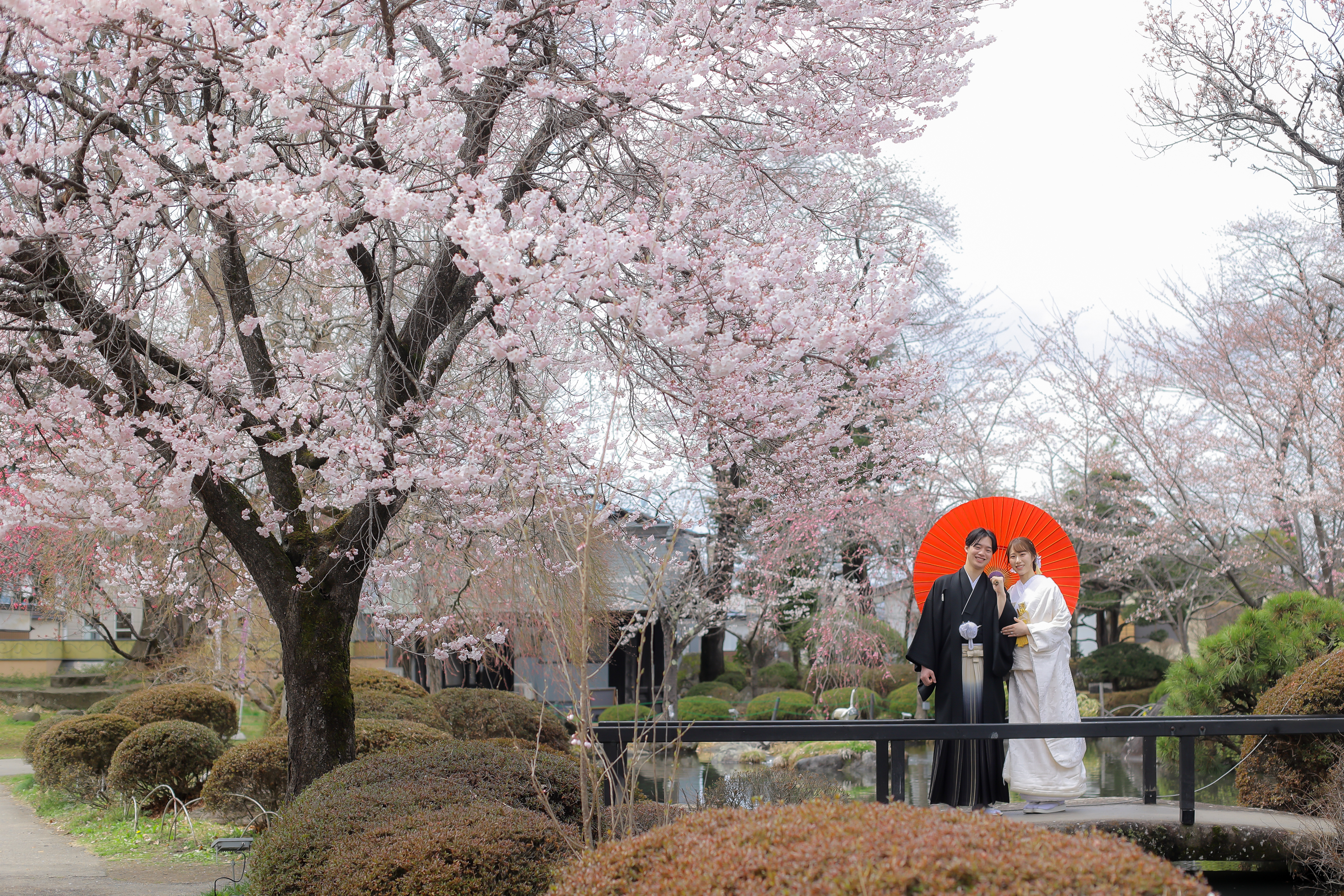 Point1 多彩な撮影シーン