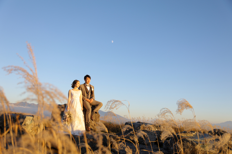 お洒落なススキロケーションフォト幻想的な1枚