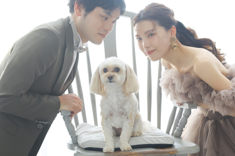 【ペットOK】洋装スタジオプラン|結婚式前撮りにもおすすめ|衣装+美容+着付+撮影|家族の一員|ペットも主役