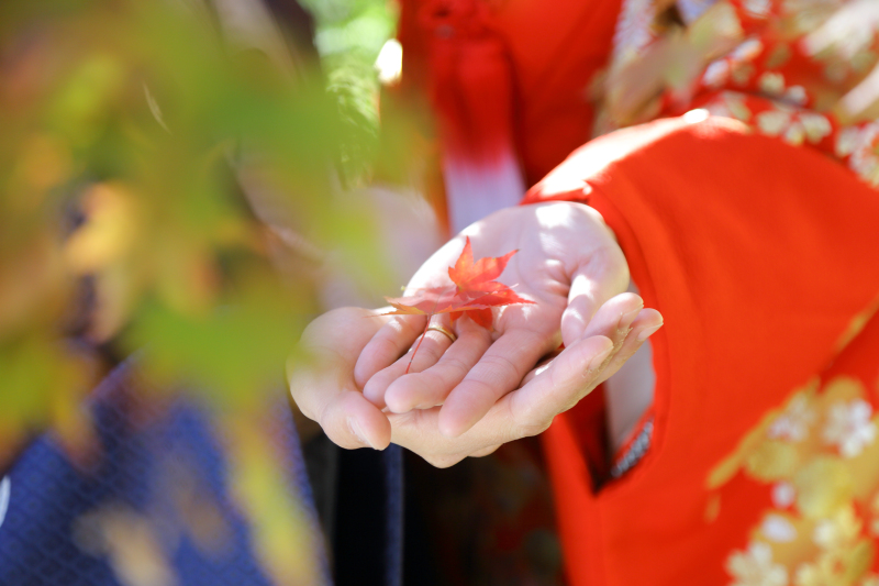 【紅葉ロケ】和装ロケプラン|結婚式前撮り|新郎新婦和装1着|ロケ代込み|全データ付|ご予約枠残りわずか!