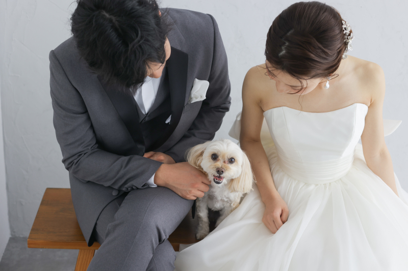 【最大50,000オフ】スタジオフォトウェディング|衣装+美容+フィッティング+撮影|期間限定|2着がお得◎|衣装組み合わせ自由