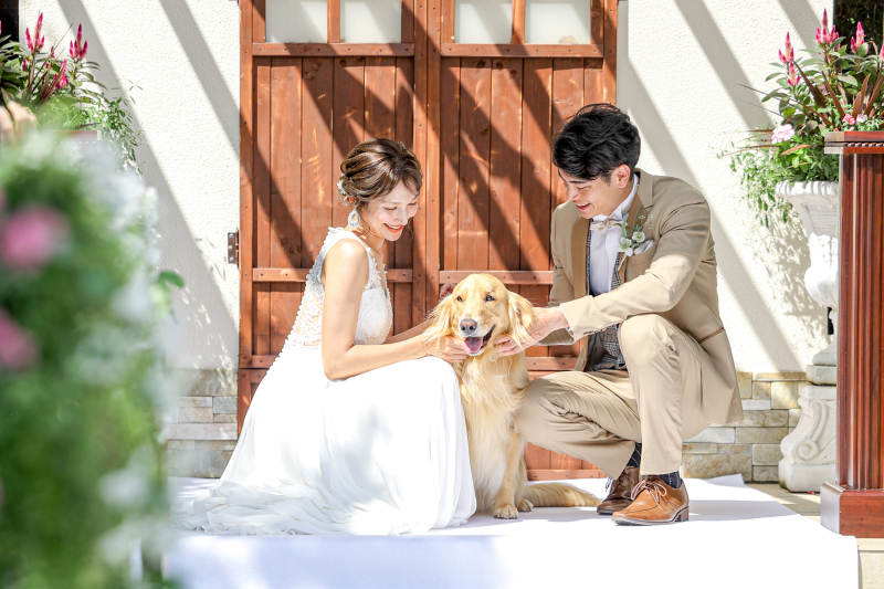【ペットOK】結婚式場フォト|新郎新婦洋装1着|挙式風|チャペル&ガーデン&邸宅で撮れる|ペットも主役|全データ付