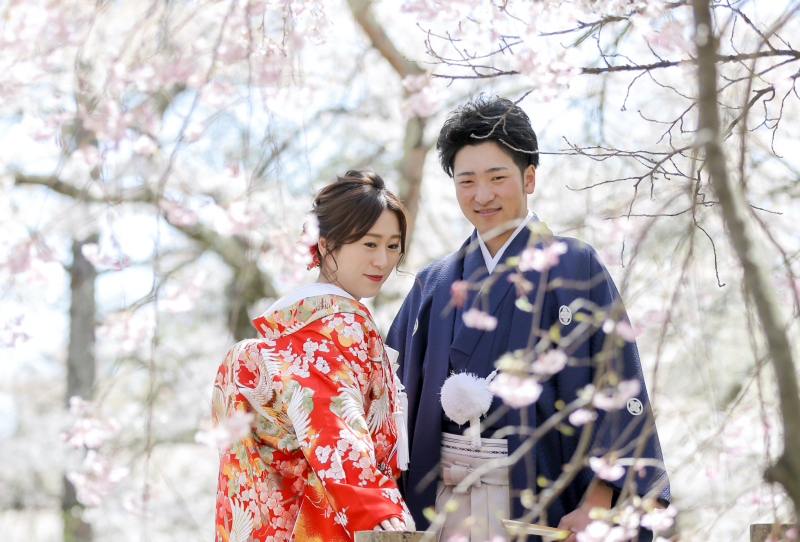 《平日限定》【◆桜ロケーションフォトプラン◆和装】データ70カットデータ付き。結婚式の前撮りとしてもお薦め!