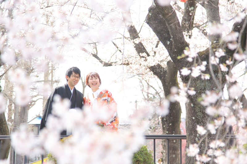 《平日限定》【◆桜ロケーションフォトプラン◆和装】データ70カットデータ付き。結婚式の前撮りとしてもお薦め!