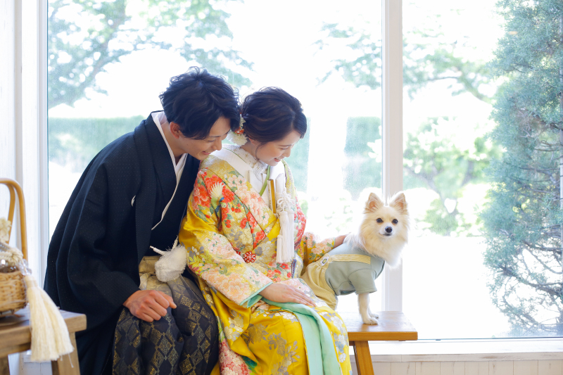 【ペットOK】和装スタジオプラン|結婚式前撮りにもおすすめ|衣装+美容+着付+撮影|家族の一員|ペットも主役