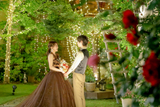 【選べる特典！】結婚式場フォト｜衣装＋美容＋フィッティング＋撮影｜期間限定｜イルミネーションで撮れる｜土日祝日会場使用料半額