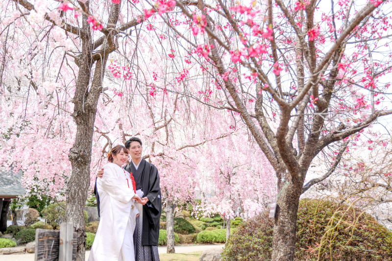 《平日限定》【◆桜ロケーションフォトプラン◆和装】データ70カットデータ付き。結婚式の前撮りとしてもお薦め!