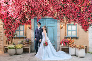 華やかなブーゲンビリアに囲まれて