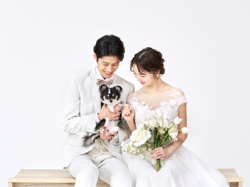 studio LUMINOUS 渋谷_ペットと一緒に撮影できる