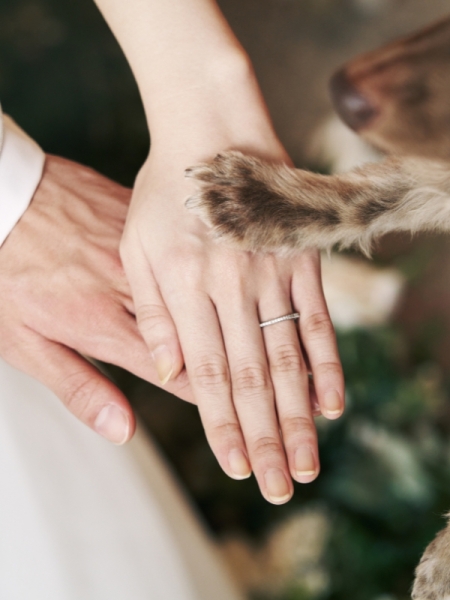 屋内なので日差しや暑さの心配もナシ